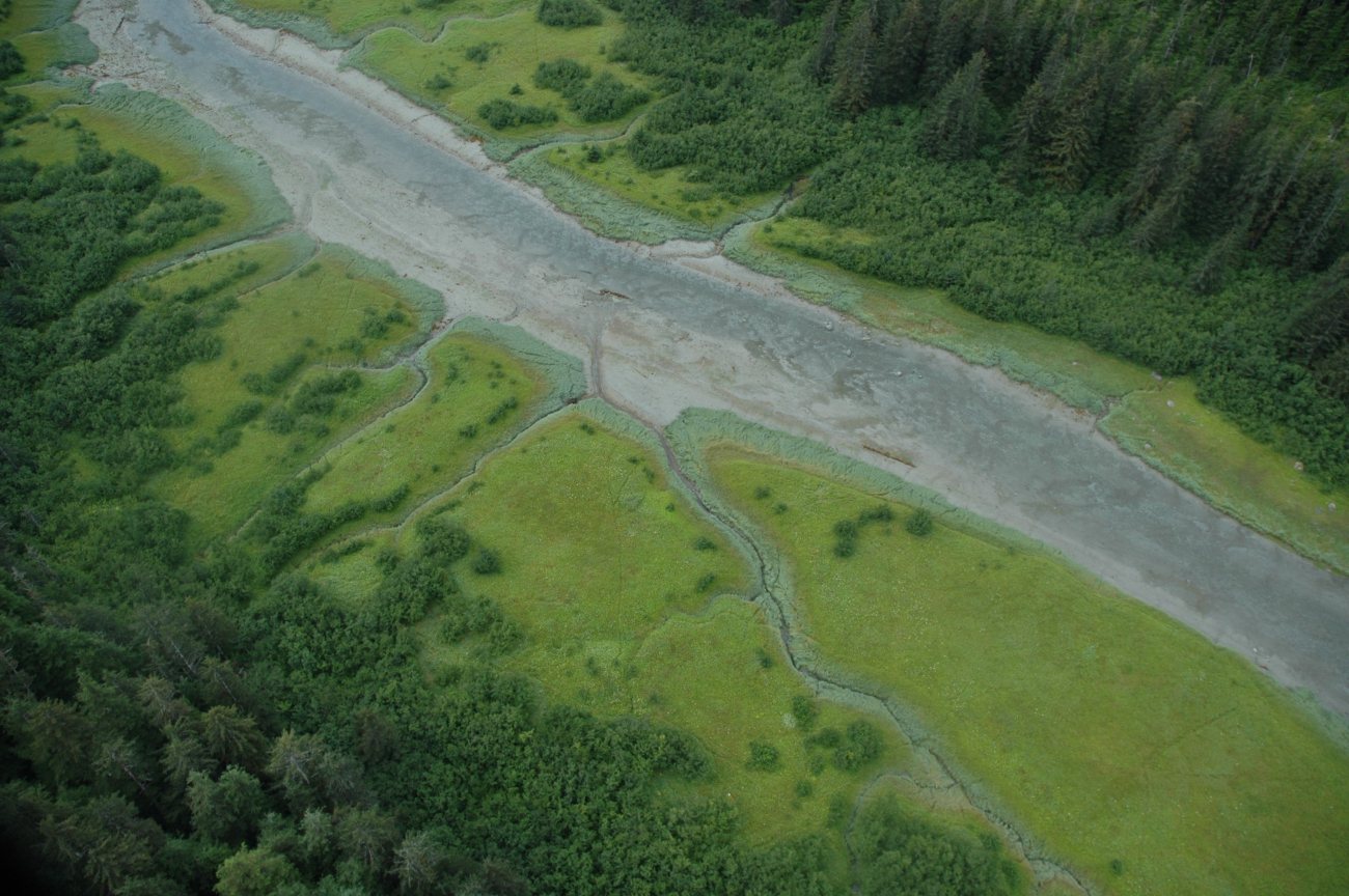 Aerial photograph (Image credit: Alaska ShoreZone Program NOAA/NMFS/AKFSC; Courtesy of Mandy Lindeberg, NOAA/NMFS/AKFSC) Aerial photograph