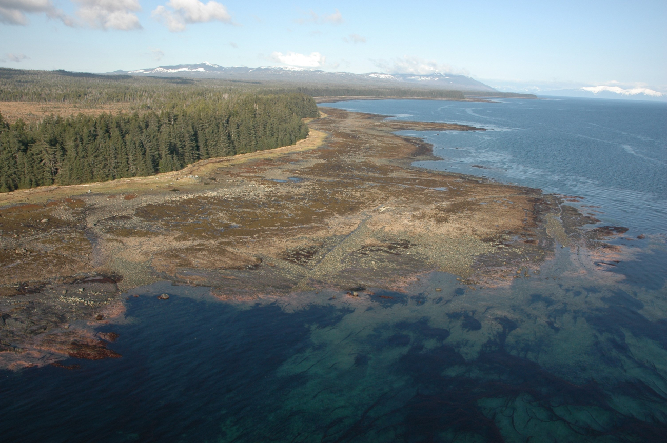 Aerial photograph (Image credit: Alaska ShoreZone Program NOAA/NMFS/AKFSC; Courtesy of Mandy Lindeberg, NOAA/NMFS/AKFSC) Aerial photograph