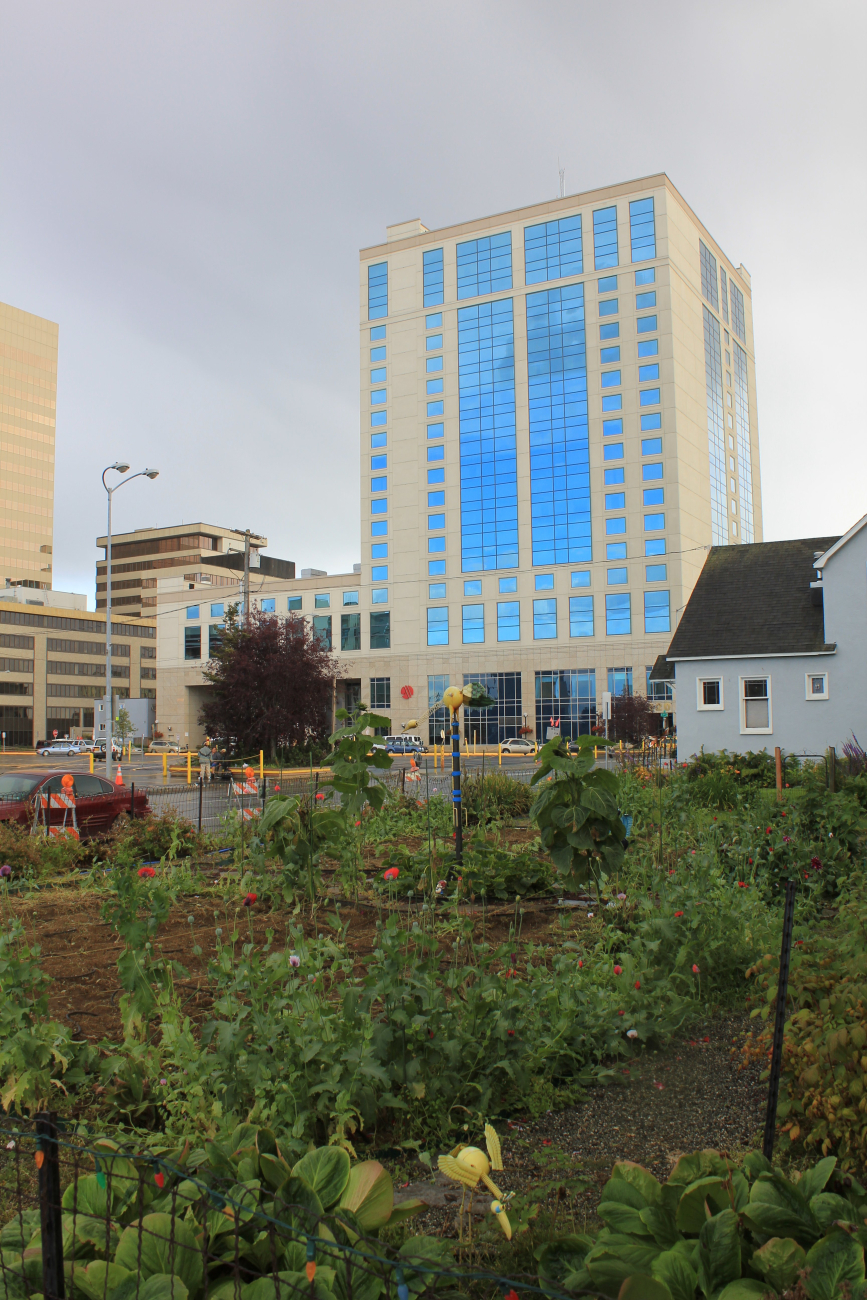The Alaska Marriott with a private garden of what appears to be poppies (Image credit: Dr. John Cloud) The Alaska Marriott with a private garden of what appears to be poppies