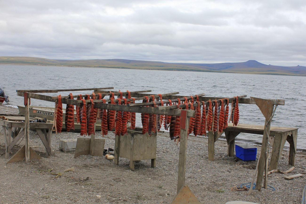 Fish drying racks (Image credit: Dr. John Cloud) Fish drying racks