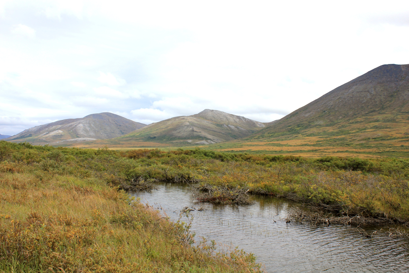 A small stream leading to Salmon Lake north of Nome (Image credit: Dr. John Cloud) A small stream leading to Salmon Lake north of Nome