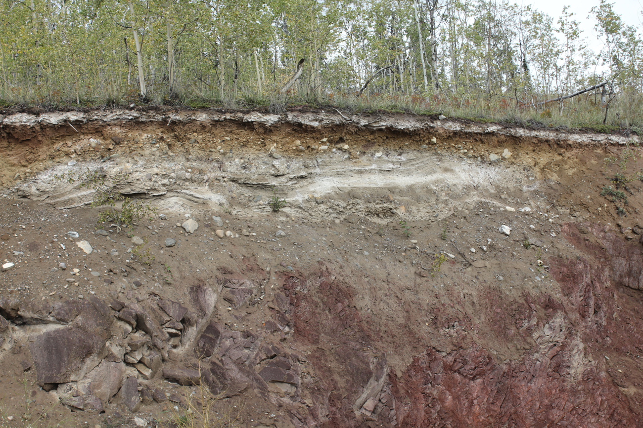 White volcanic ash layer which marks major volcanic eruption (Image credit: Dr. John Cloud) White volcanic ash layer which marks major volcanic eruption