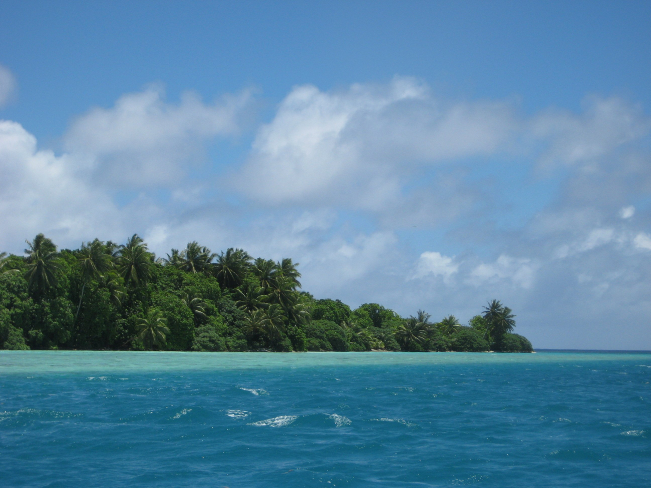 Vegetation including the ubiquitous palm trees of the tropical Pacific coverPalmyra Island and its associated offshore islets (Image credit: LCDR Eric Johnson) Vegetation including the ubiquitous palm trees of the tropical Pacific coverPalmyra Island and its associated offshore islets