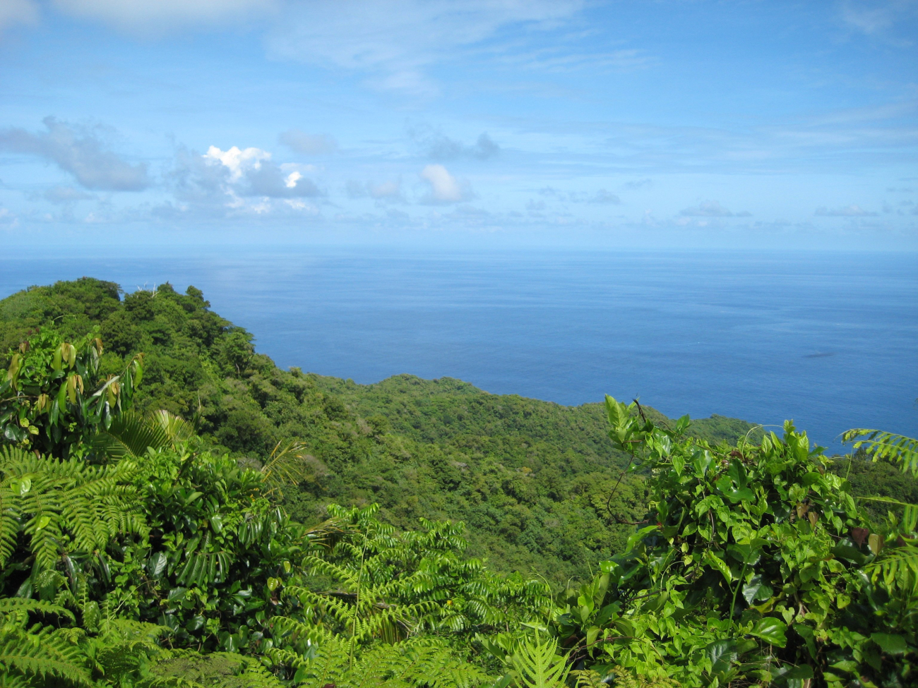 A view over the lush Samoan vegetation to the Pacific Ocean (Image credit: LCDR Eric Johnson) A view over the lush Samoan vegetation to the Pacific Ocean