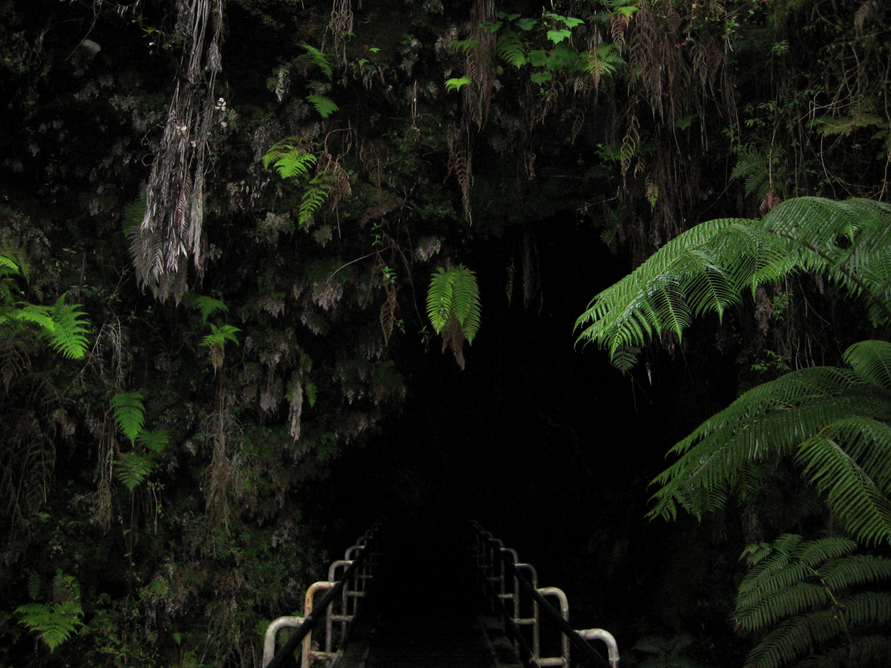 The entrance to Thurston Lava tube (Image credit: LCDR Eric Johnson) The entrance to Thurston Lava tube
