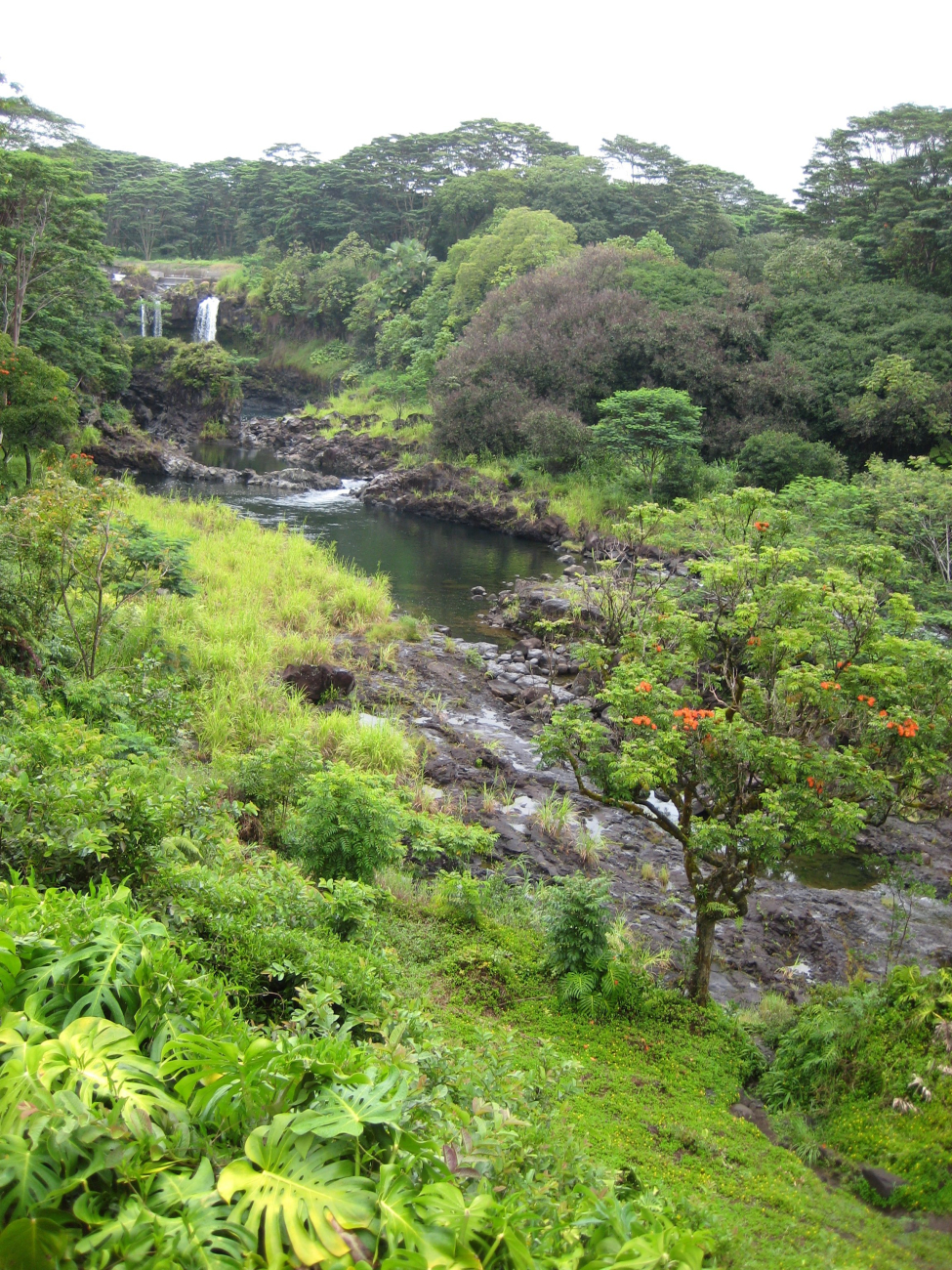 Lush Hawaiian foliage and waterfall (Image credit: LCDR Eric Johnson) Lush Hawaiian foliage and waterfall
