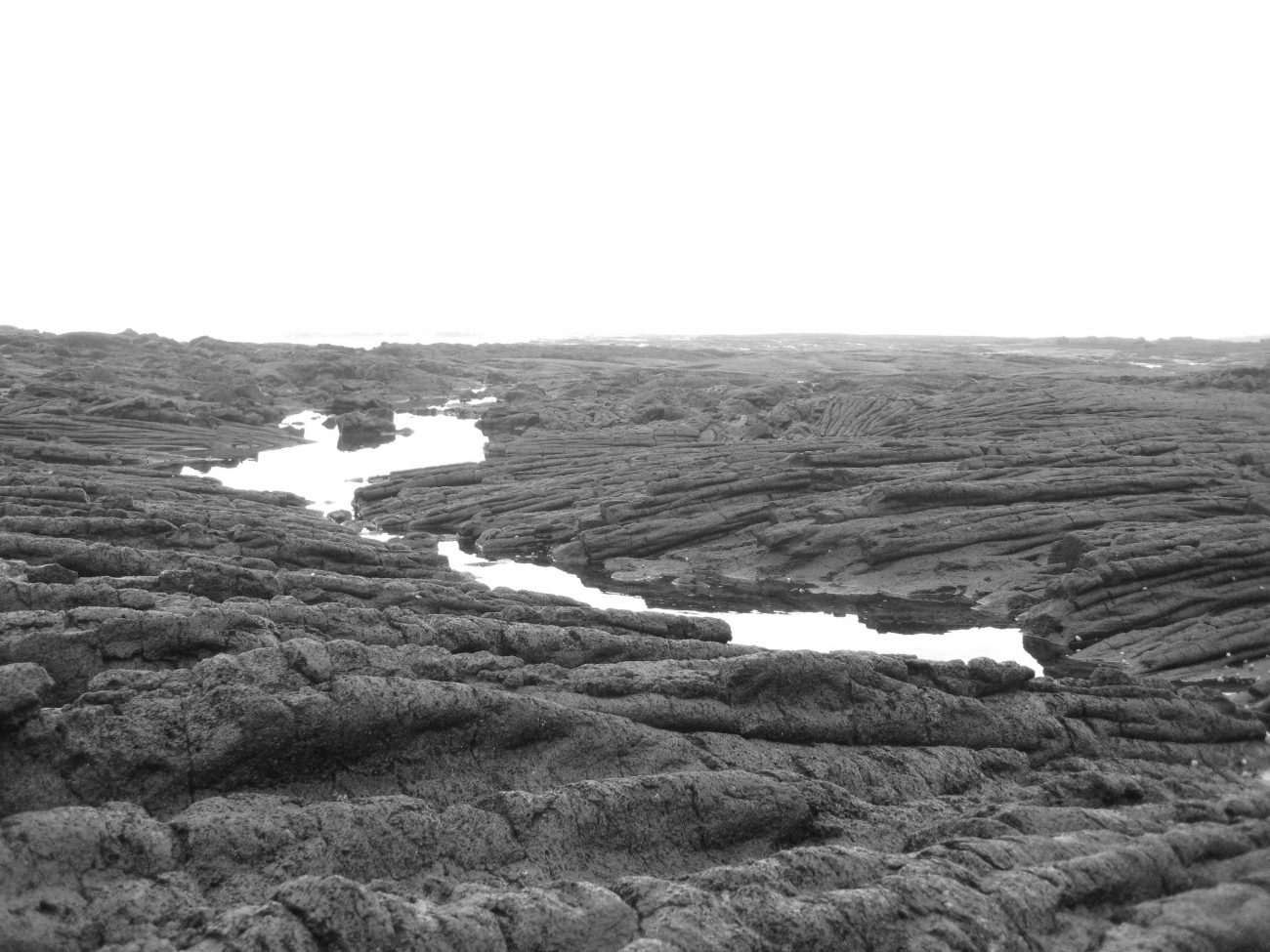 Frozen ropes of pahoehoe lava (Image credit: LCDR Eric Johnson) Frozen ropes of pahoehoe lava