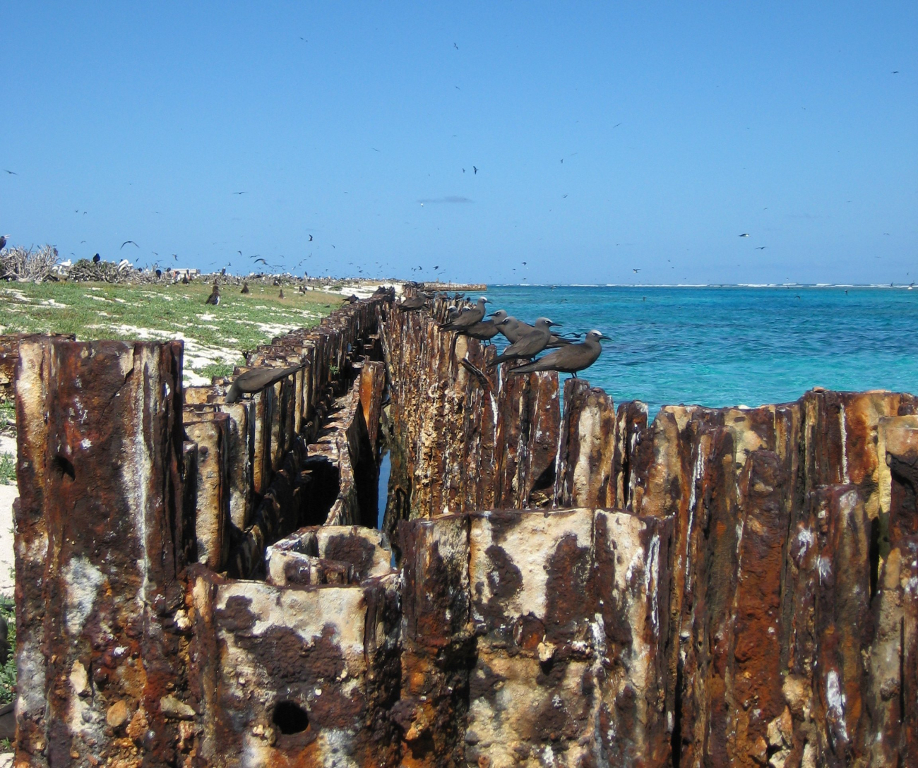 Part of the steel bulkhead put in place by Navy Seabees when they builtTern Island around French Frigate Shoals during World War II (Image credit: LCDR Eric Johnson) Part of the steel bulkhead put in place by Navy Seabees when they builtTern Island around French Frigate Shoals during World War II