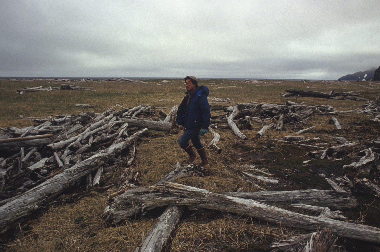 Allen Shimada with driftwood thrown up on the shores of an Aleutian Island bypowerful North Pacific storms (Image credit: Allen Shimada) Allen Shimada with driftwood thrown up on the shores of an Aleutian Island bypowerful North Pacific storms
