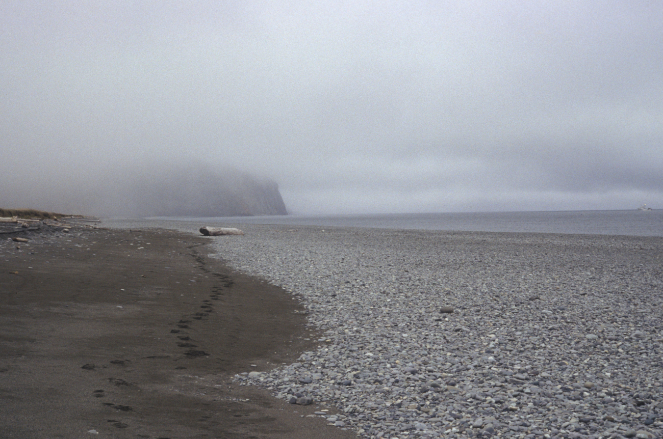 A lonely cobble and sand beach in the Aleutians (Image credit: Allen Shimada) A lonely cobble and sand beach in the Aleutians