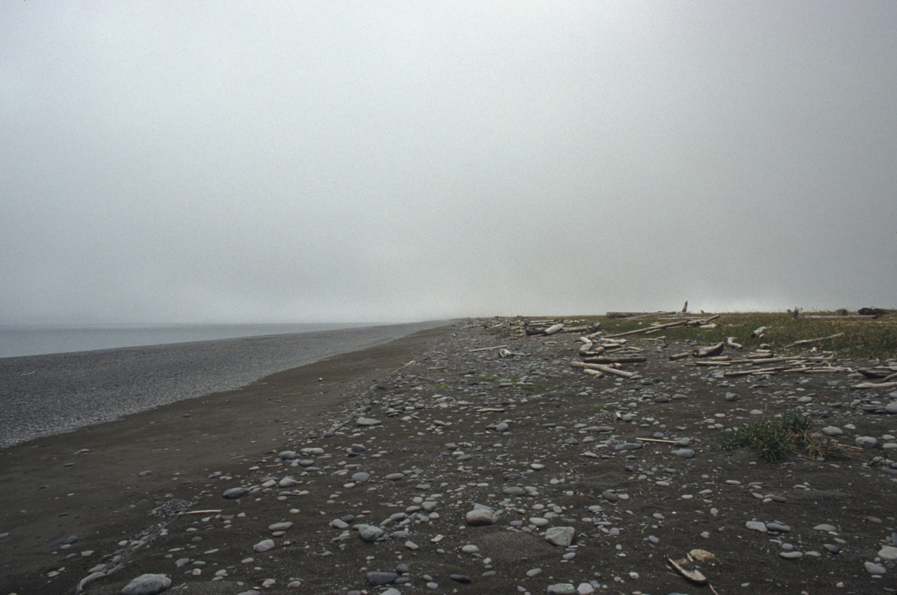 A lonely cobble and sand beach in the Aleutians (Image credit: Allen Shimada) A lonely cobble and sand beach in the Aleutians