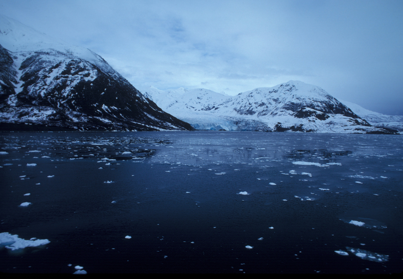 Glacier Bay view with ice forming on sea surface (Image credit: Allen Shimada) Glacier Bay view with ice forming on sea surface