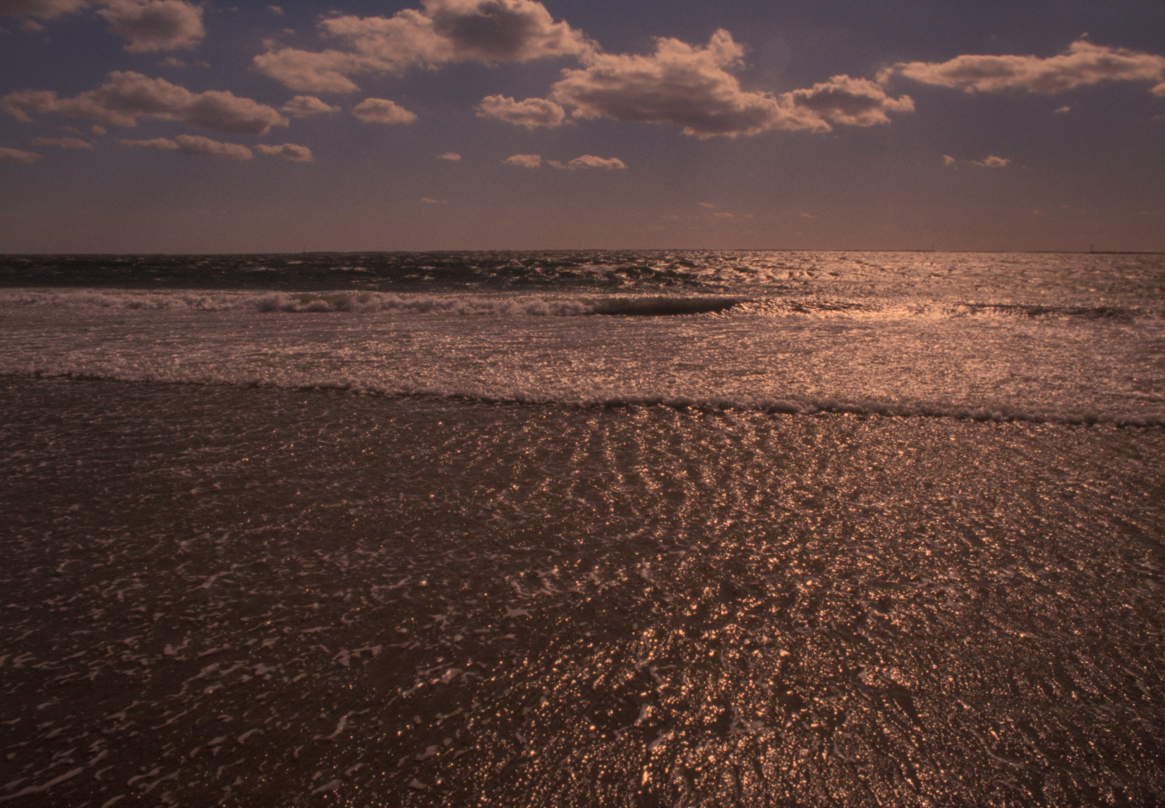 Foam and surf highlighted by the afternoon sun (Image credit: Allen Shimada) Foam and surf highlighted by the afternoon sun