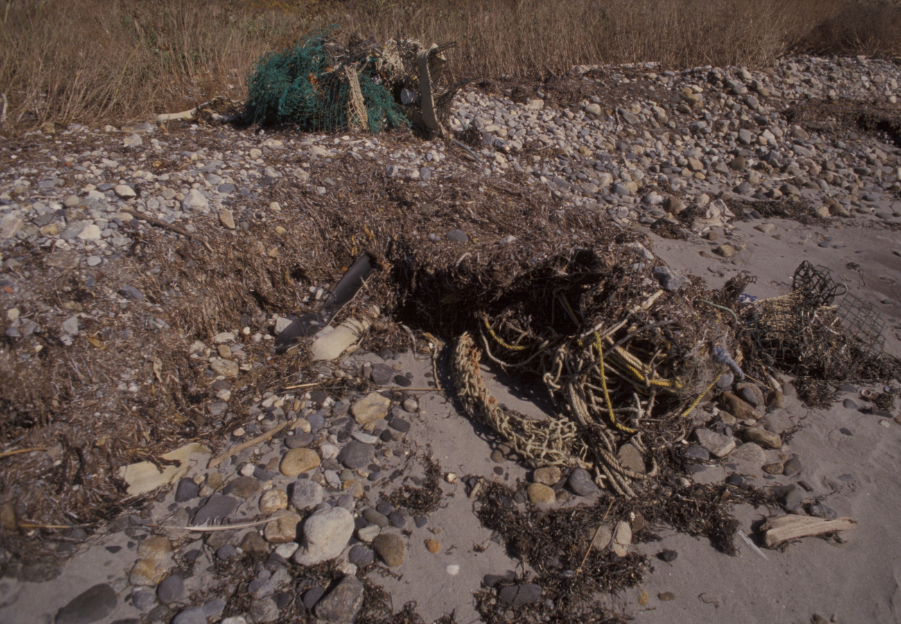 Marine debris washed ashore (Image credit: Allen Shimada) Marine debris washed ashore