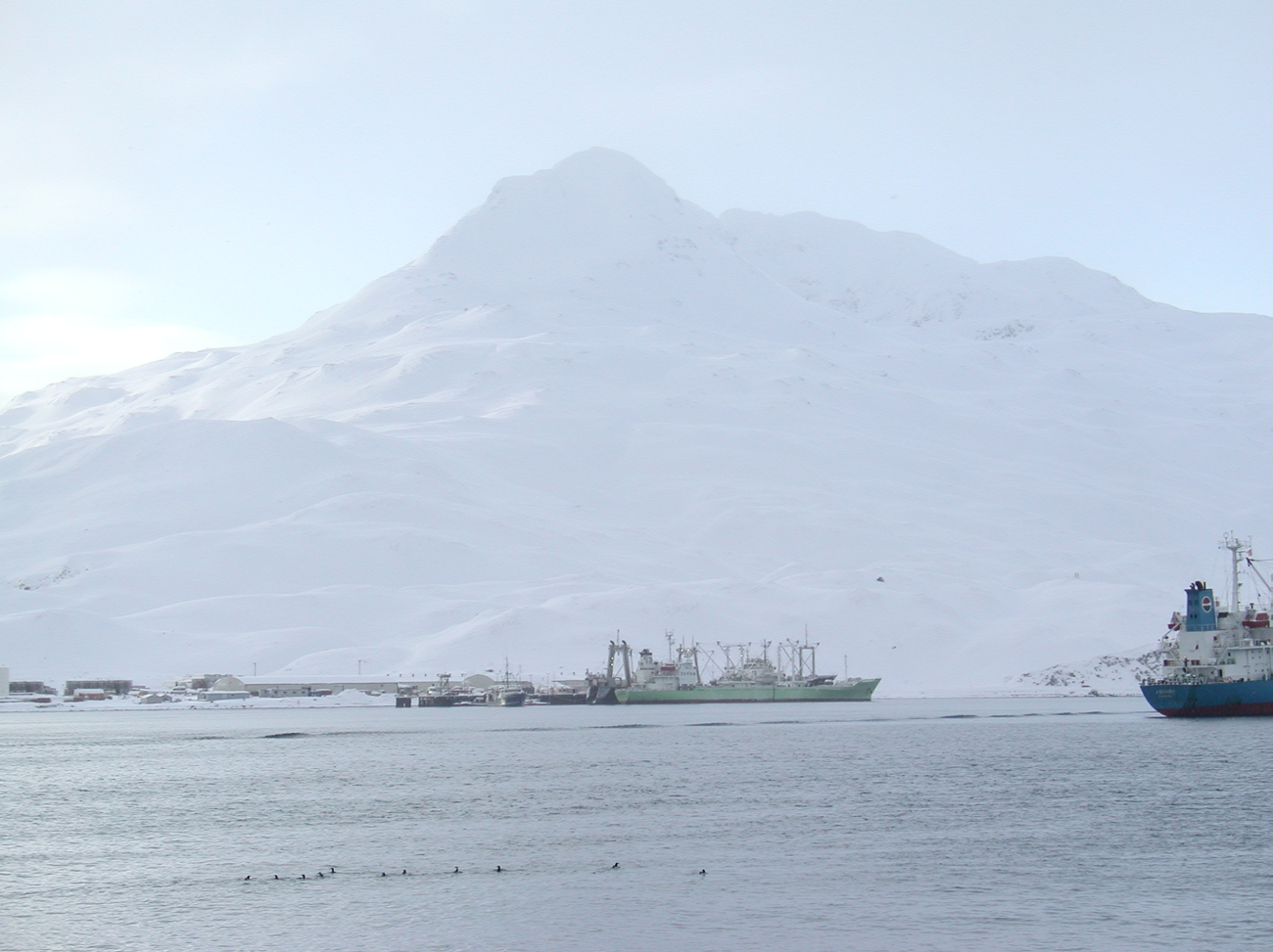 A winter wonderland harbor at Dutch Harbor
