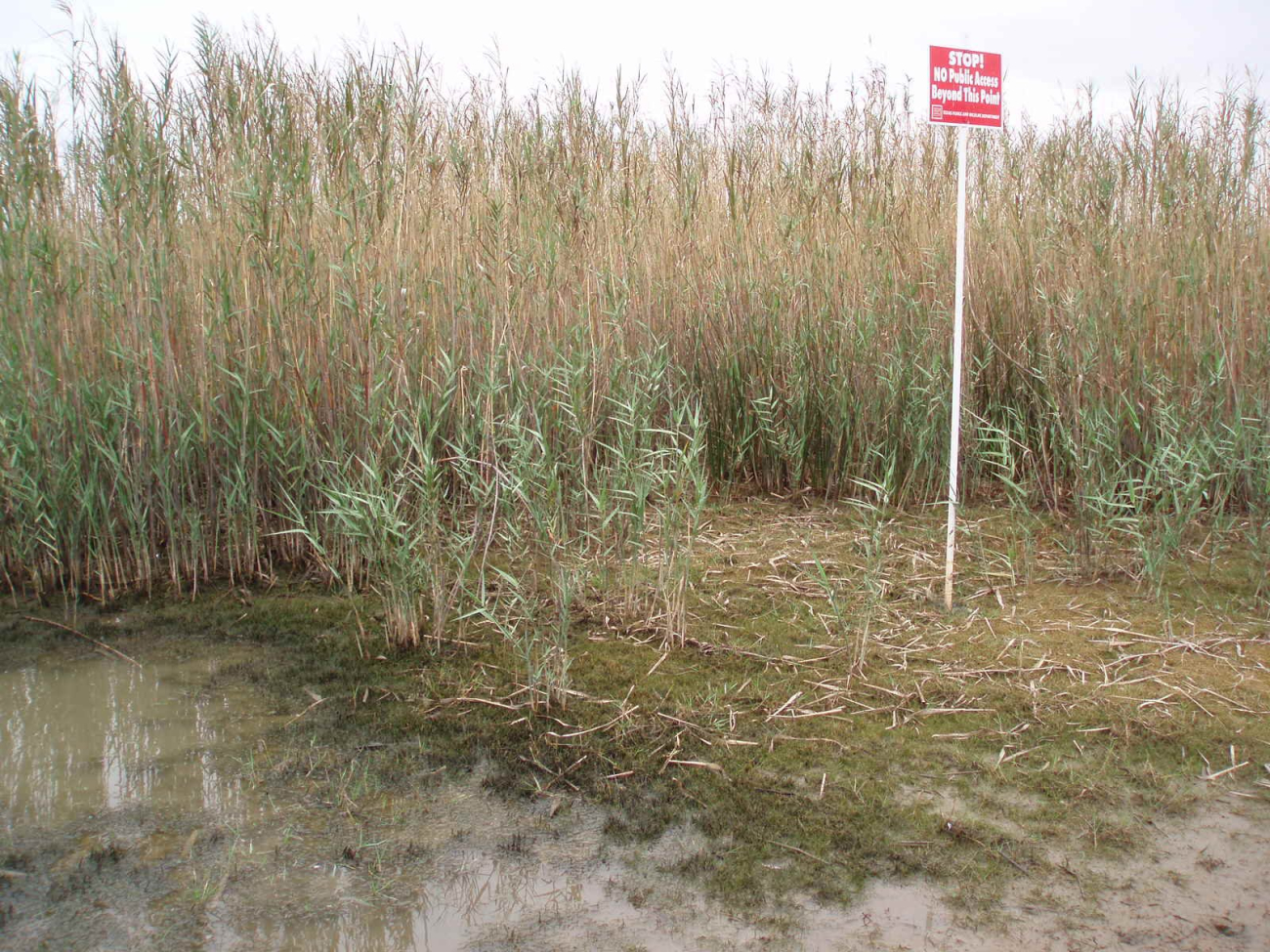 A sign is placed to keep the public away from a wet prairie restoration site (Image credit: NOAA News 071309) A sign is placed to keep the public away from a wet prairie restoration site