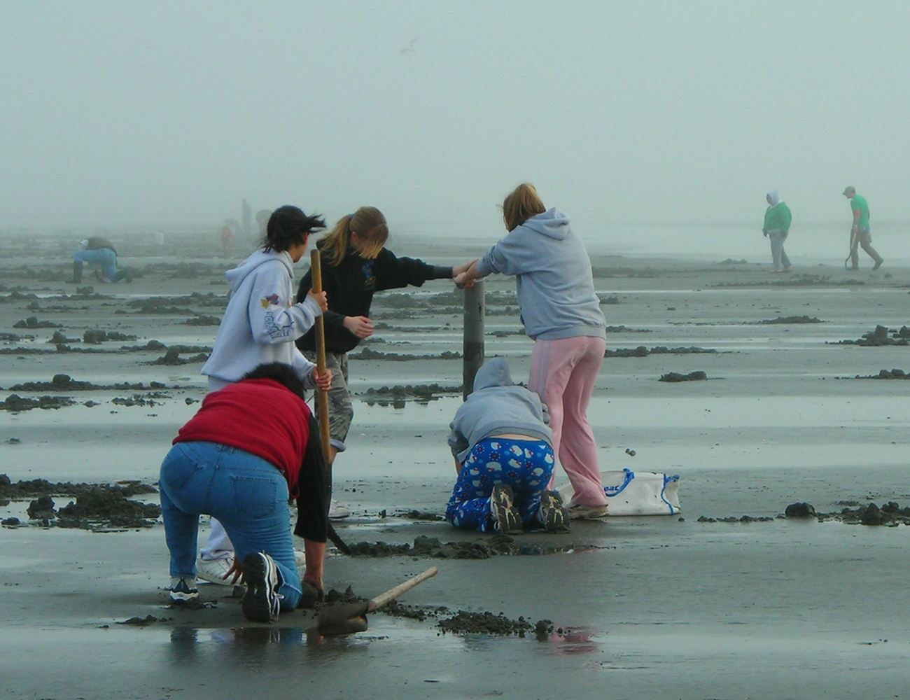 A family digs for clams in the Pacific Northwest (Image credit: NOAA News 091609) A family digs for clams in the Pacific Northwest