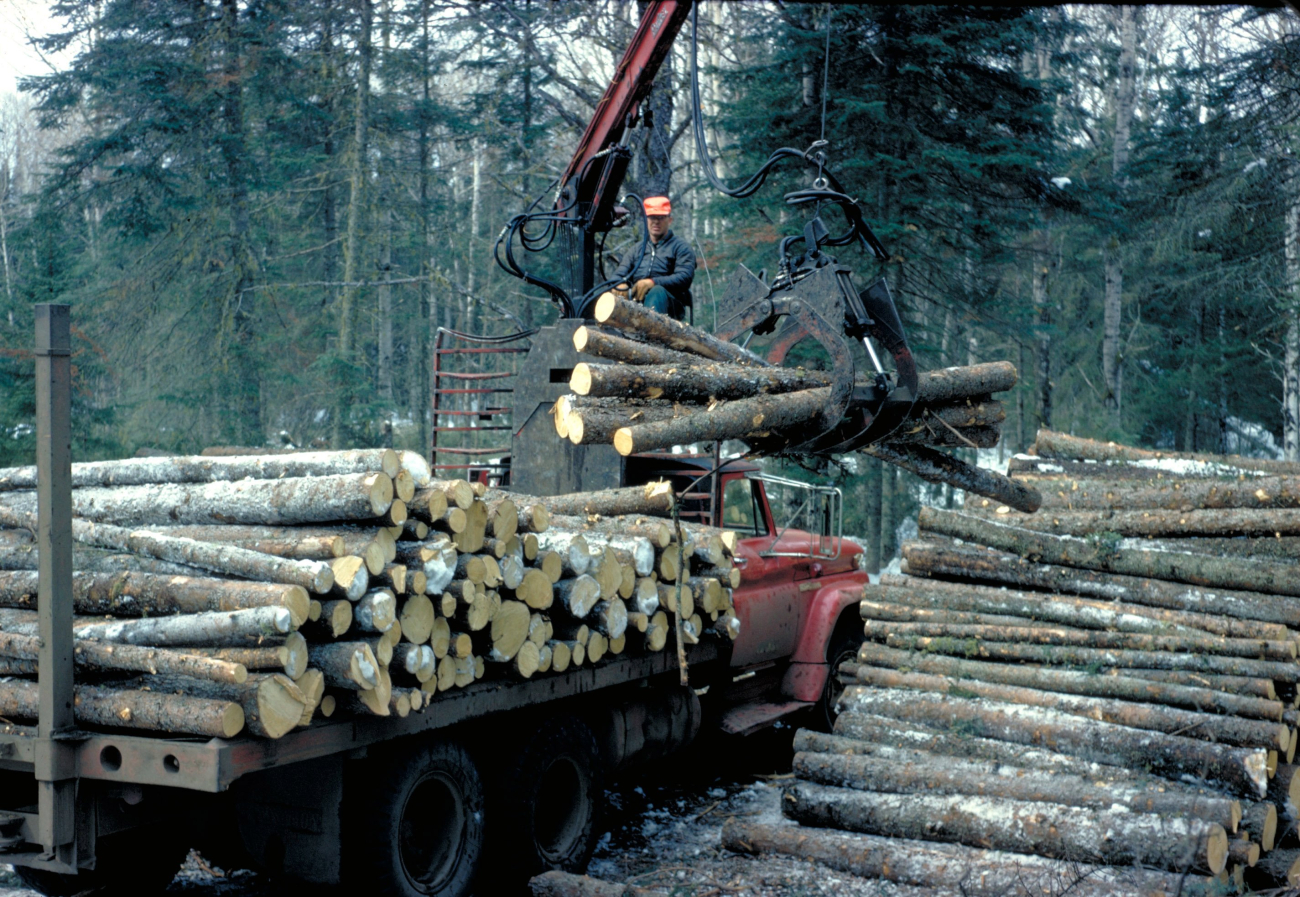 Logging in the Great Lakes region (Image credit: NOAA/OAR/Great Lakes Environmental Research Laboratory; EPA) Logging in the Great Lakes region