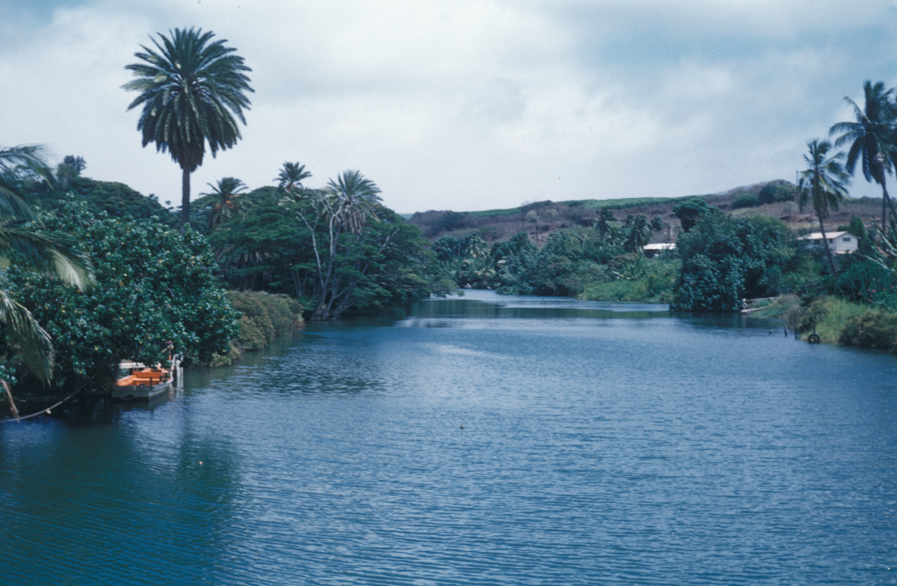 A tropical scene along a palm tree and vegetation lined inlet (Image credit: Family of Captain Miller Tonkel | Captain Miller Tonkel) A tropical scene along a palm tree and vegetation lined inlet