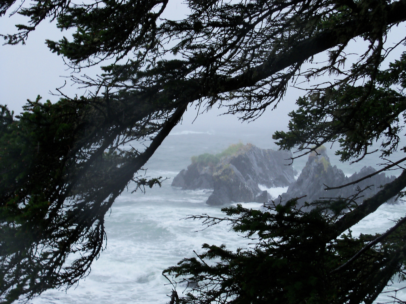 Ocean in the rain at Fort Abercrombie State Park in a scenereminscent of Point Lobos State Reserve in California (Image credit: Jenny Thacker304's Photostream, NOAA/NOS/OCS Flickr | Jenny Thacker) Ocean in the rain at Fort Abercrombie State Park in a scenereminscent of Point Lobos State Reserve in California
