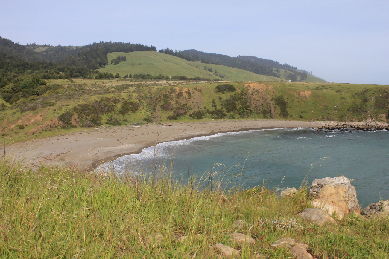 A sandy cove near Fort Ross (Image credit: Dr. John Cloud) A sandy cove near Fort Ross