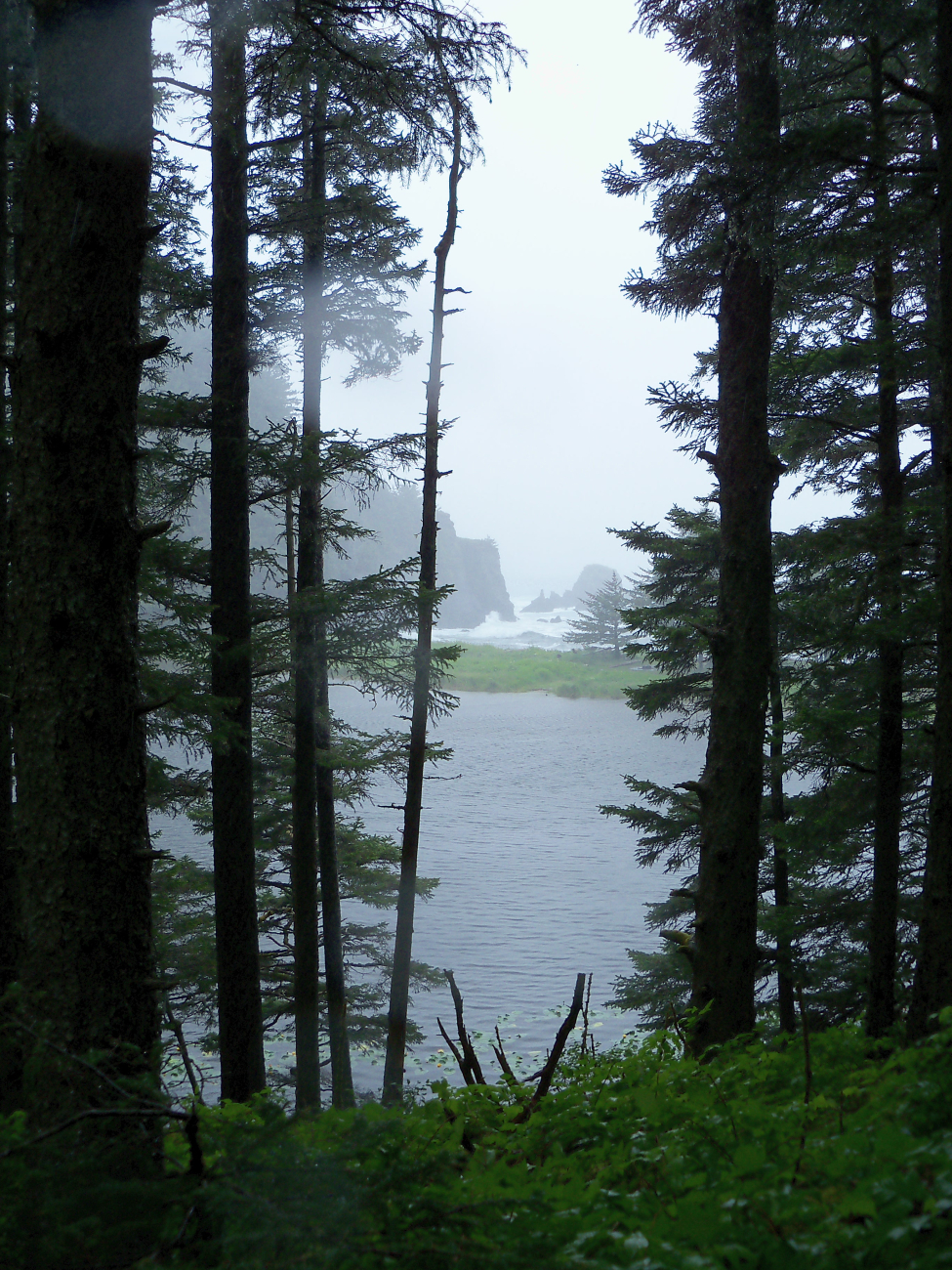 A view along hiking trails in Fort Abercrombie State Historical Park (Image credit: Jenny Thacker) A view along hiking trails in Fort Abercrombie State Historical Park