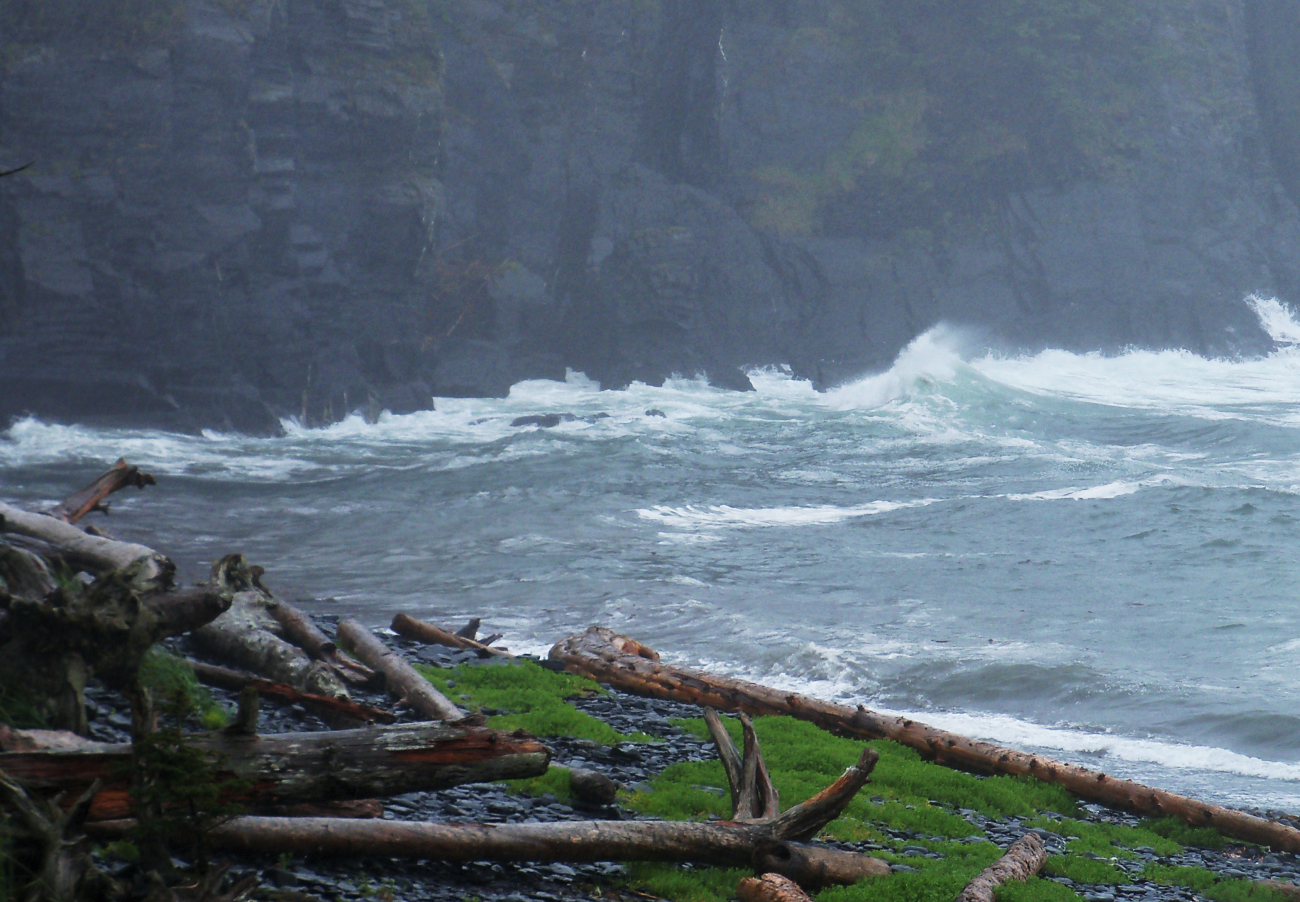 A surf-swept cove with logs pushed high up the rocky shore indicatingthe violence of North Pacific winter storms (Image credit: Jenny Thacker) A surf-swept cove with logs pushed high up the rocky shore indicatingthe violence of North Pacific winter storms