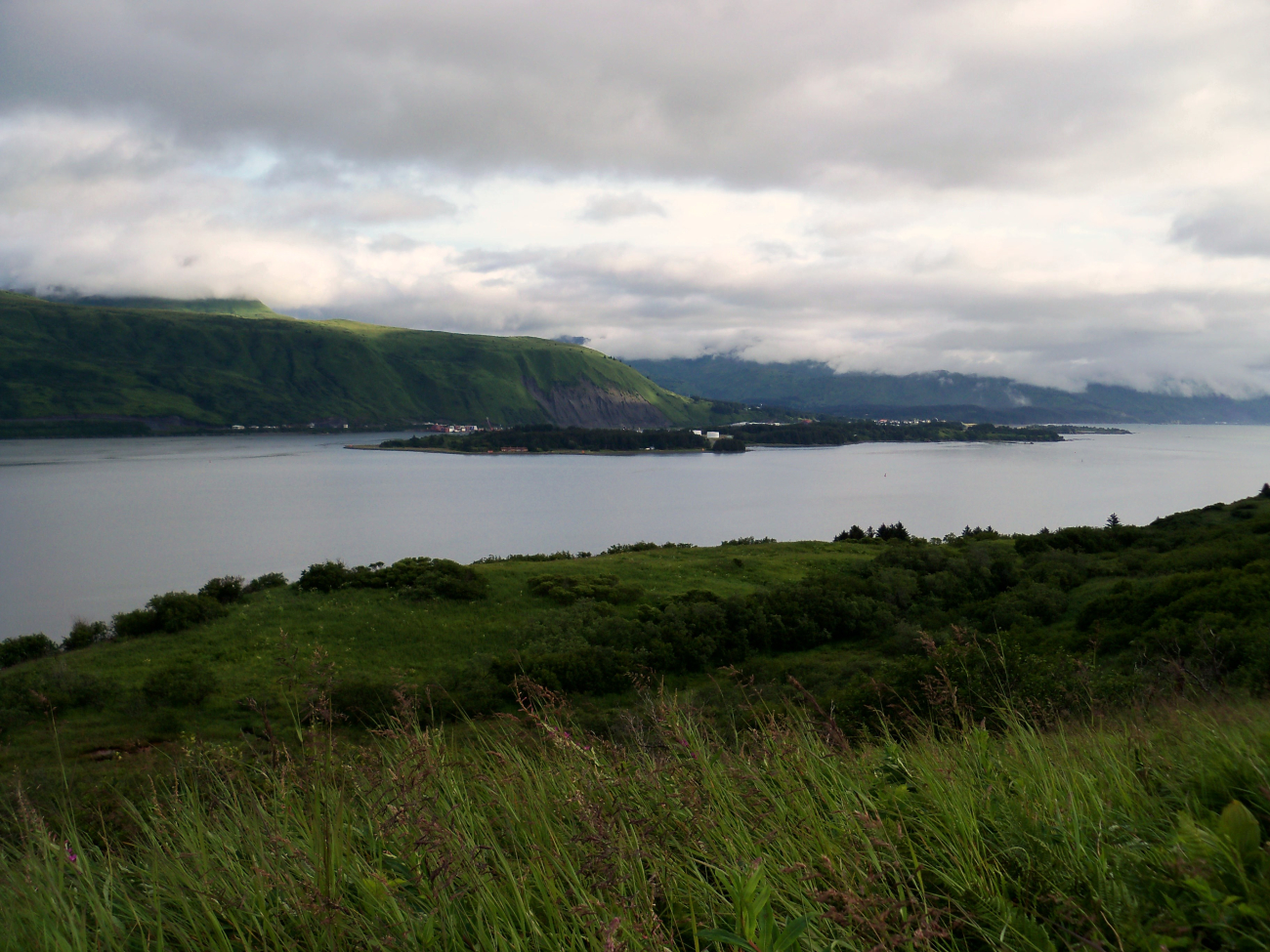 Part of the labyrinthine waterways of Kodiak Island (Image credit: Jenny Thacker) Part of the labyrinthine waterways of Kodiak Island