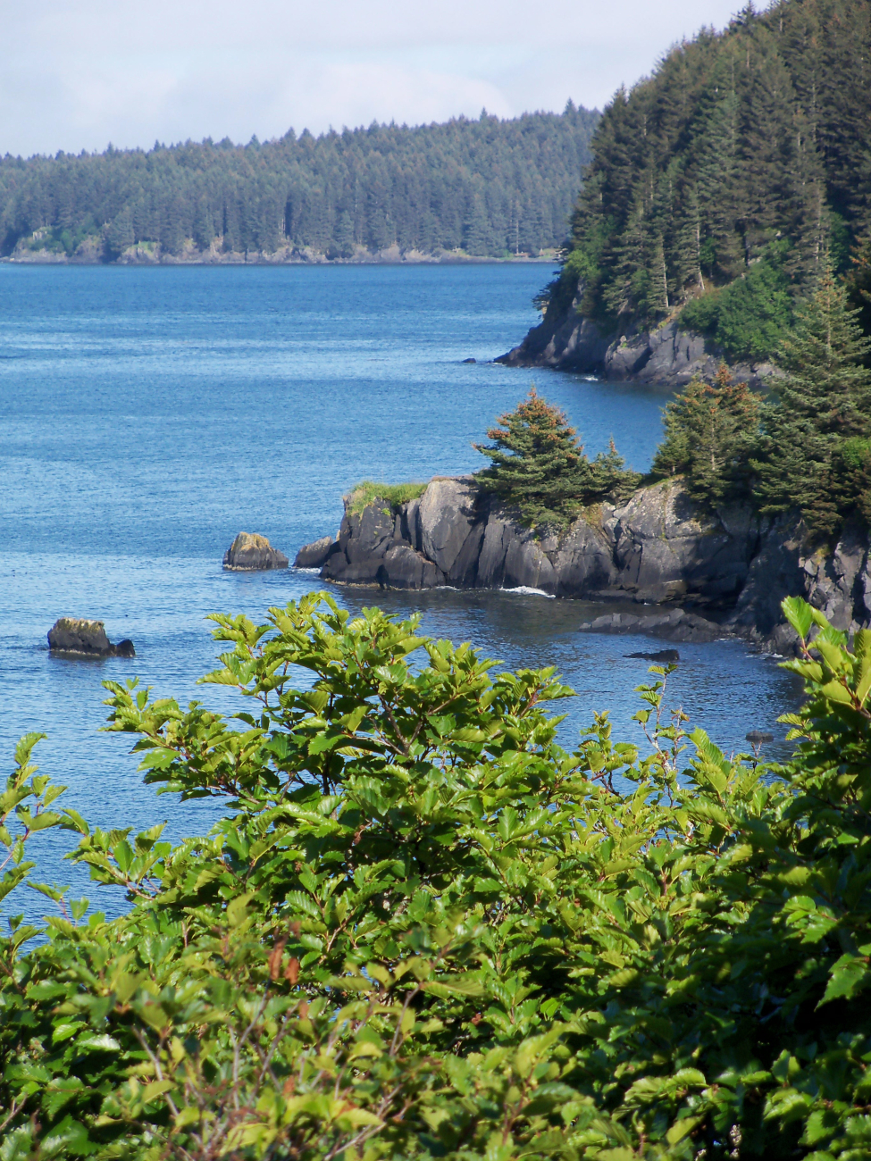 A rockbound coast with an evergreen forest leading to the interior of KodiakIsland (Image credit: Jenny Thacker) A rockbound coast with an evergreen forest leading to the interior of KodiakIsland