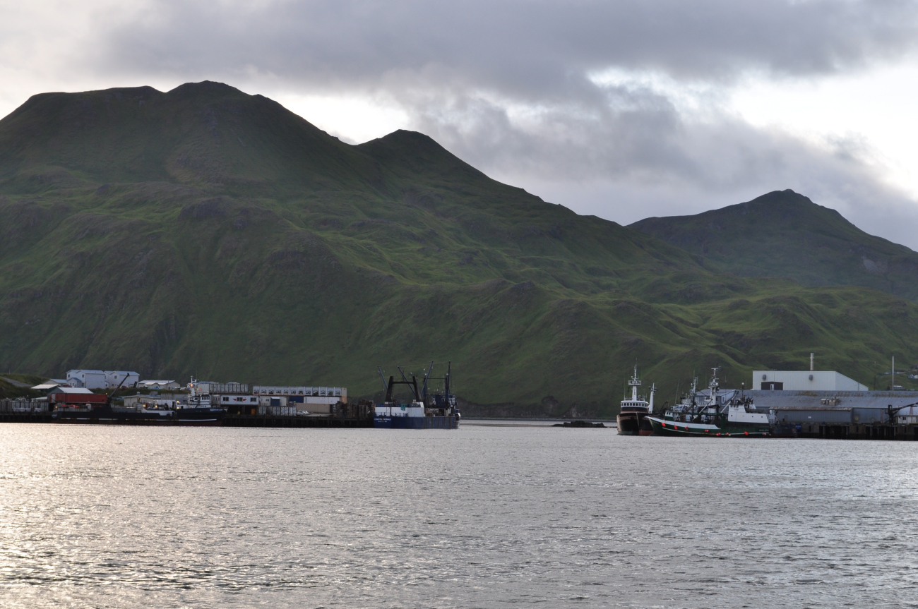 Fishing vessels tied up at Dutch Harbor (Image credit: Mr. Tom Ward NOAA Teacher at Sea Program) Fishing vessels tied up at Dutch Harbor
