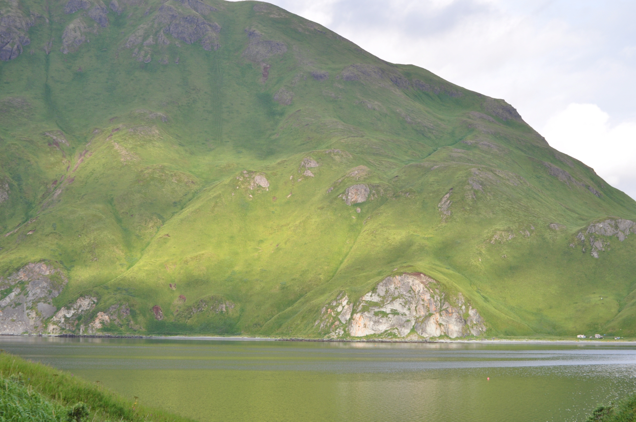 A hidden bay and a verdant green mountain side showingwave cut terraces that have been uplifted as a result of tectonic processes (Image credit: Mr. Tom Ward NOAA Teacher at Sea Program) A hidden bay and a verdant green mountain side showingwave cut terraces that have been uplifted as a result of tectonic processes