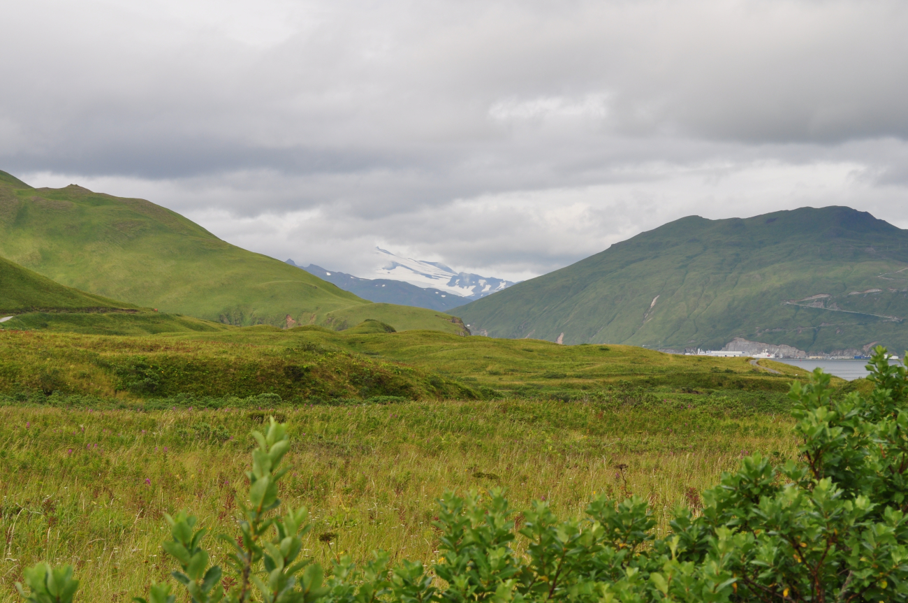 Looking across a meadow to the mountains of Unalaska Island (Image credit: Mr. Tom Ward NOAA Teacher at Sea Program) Looking across a meadow to the mountains of Unalaska Island