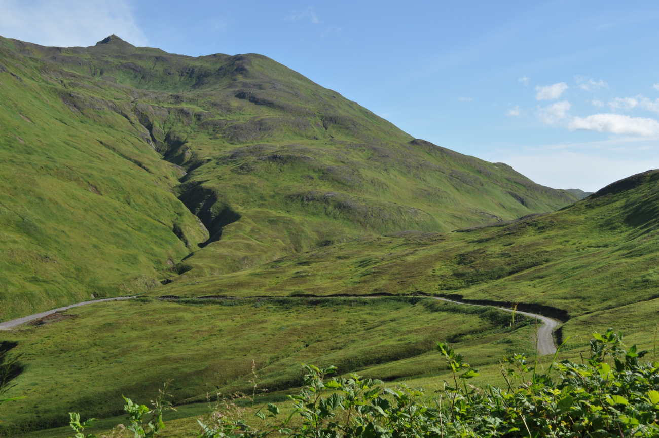 The green hills of Unalaska Island (Image credit: Mr. Tom Ward NOAA Teacher at Sea Program) The green hills of Unalaska Island