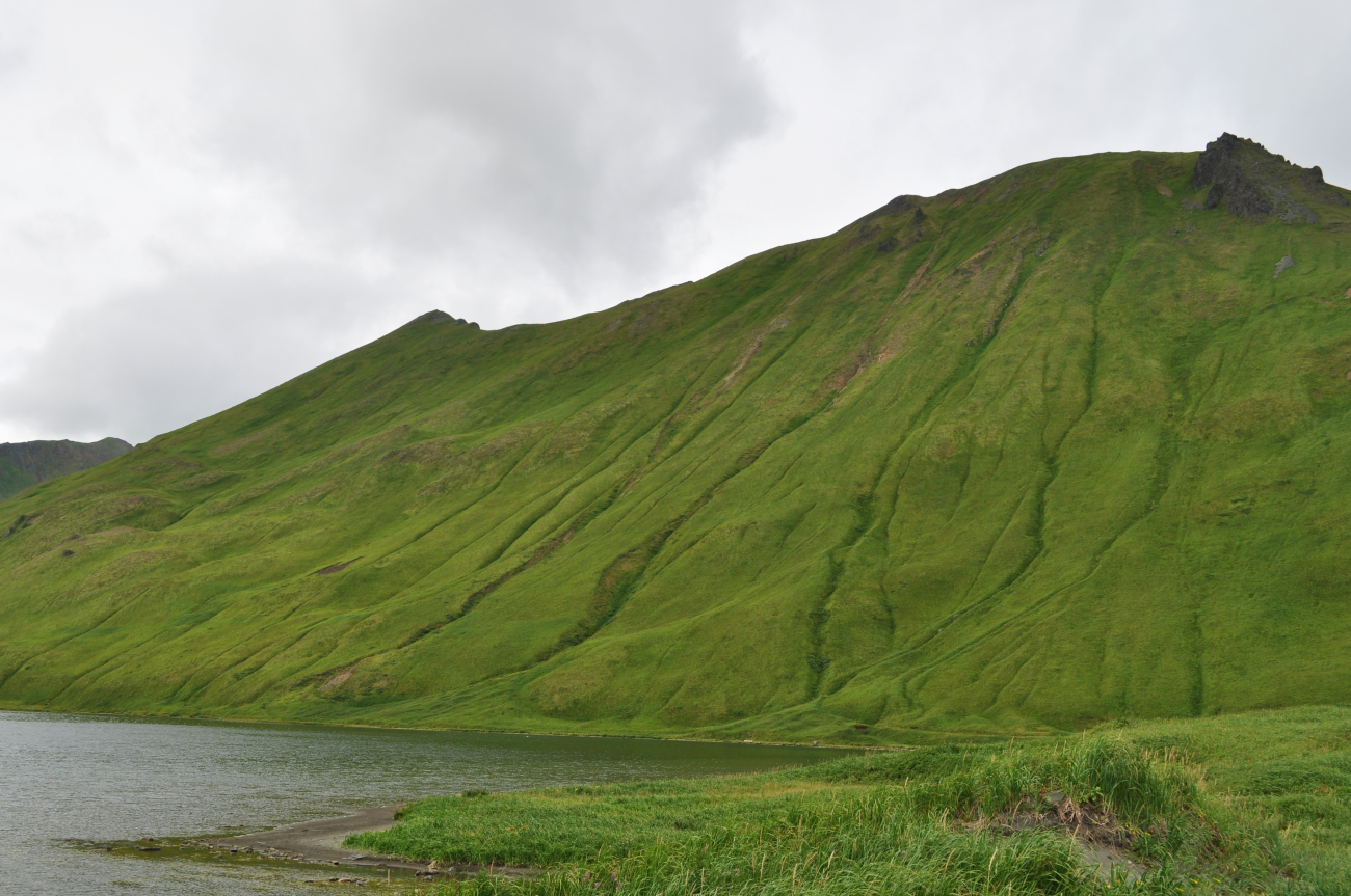 The green green hills of the Unalaska Island (Image credit: Mr. Tom Ward NOAA Teacher at Sea Program) The green green hills of the Unalaska Island