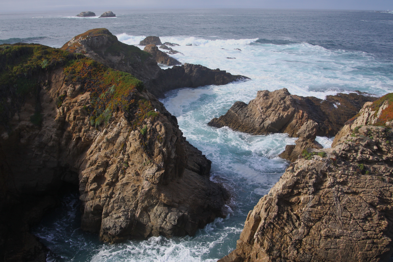 The rocky, wave-sculpted coastline near Granite Canyon (Image credit: NOAA NMFS/SWFSC/PRD | Barbara Taylor NMFS/SWFSC/PRD) The rocky, wave-sculpted coastline near Granite Canyon
