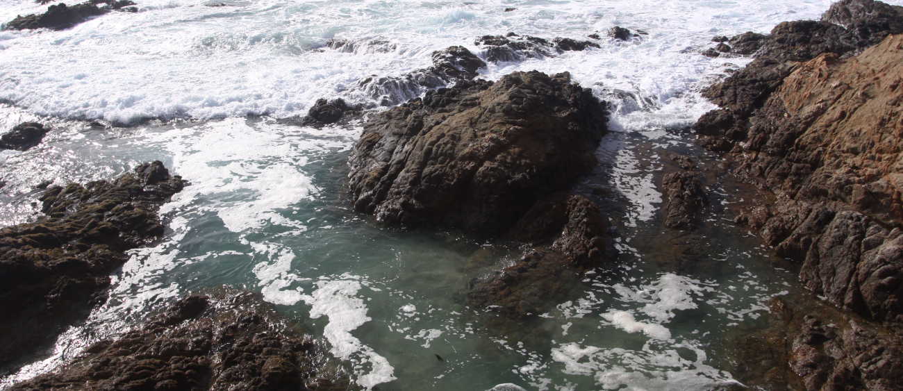 Rocky meeting of land and sea at Point Lobos State Reserve (Image credit: NOAA NMFS/SWFSC/PRD | Barbara Taylor NMFS/SWFSC/PRD) Rocky meeting of land and sea at Point Lobos State Reserve