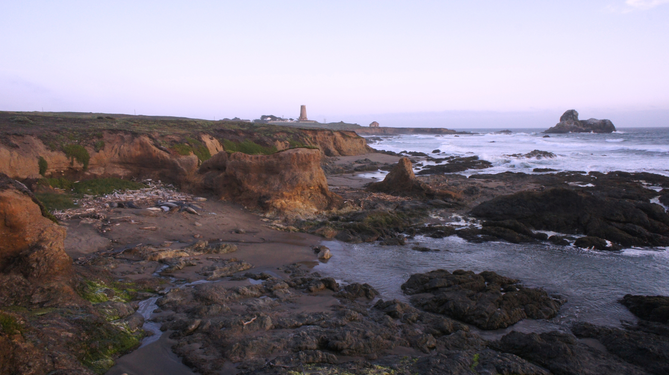 Looking south to the Point Piedras Blancas lighthouse over the shoreline at amedium tide (Image credit: NOAA NMFS/SWFSC/PRD | Wayne Perryman NMFS/SWFSC/PRD) Looking south to the Point Piedras Blancas lighthouse over the shoreline at amedium tide