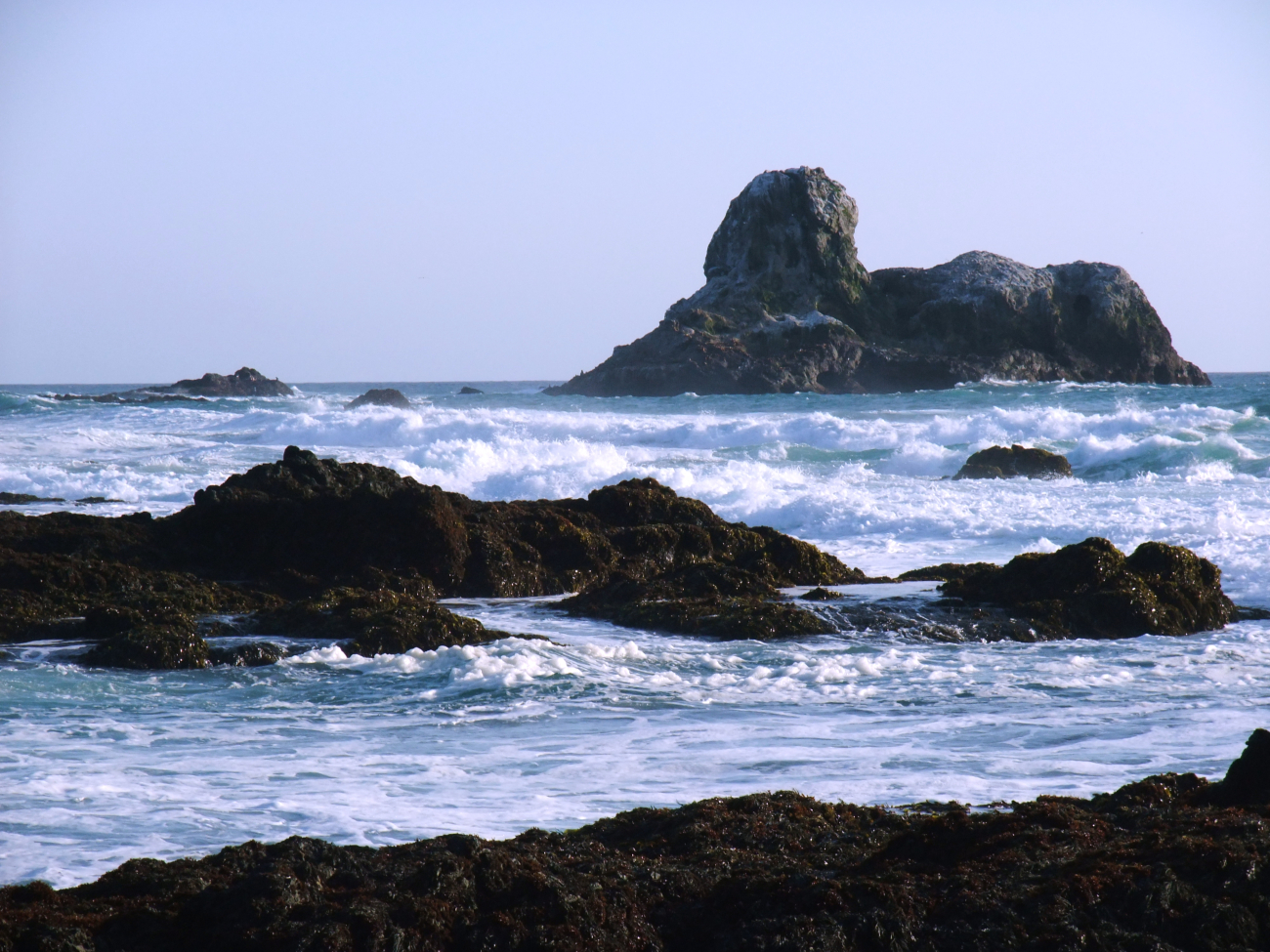 Rocks and surf offshore from Point Piedras Blancas (Image credit: NOAA NMFS/SWFSC/PRD | Wayne Perryman NMFS/SWFSC/PRD) Rocks and surf offshore from Point Piedras Blancas