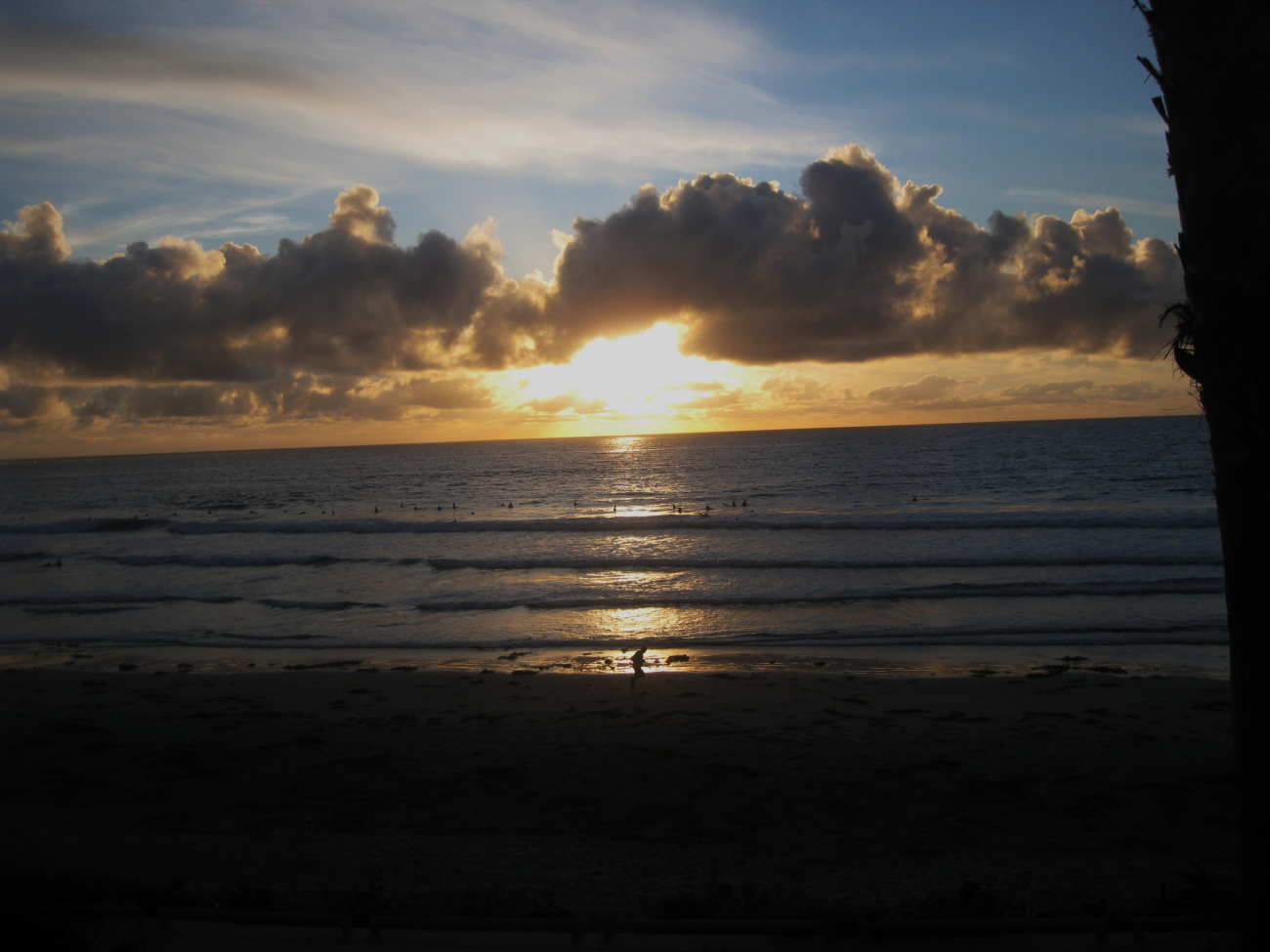 Surfers and beach strollers at sunset as seen from the ScrippsInstitution of Oceanography (Image credit: Captain Albert Theberge) Surfers and beach strollers at sunset as seen from the ScrippsInstitution of Oceanography