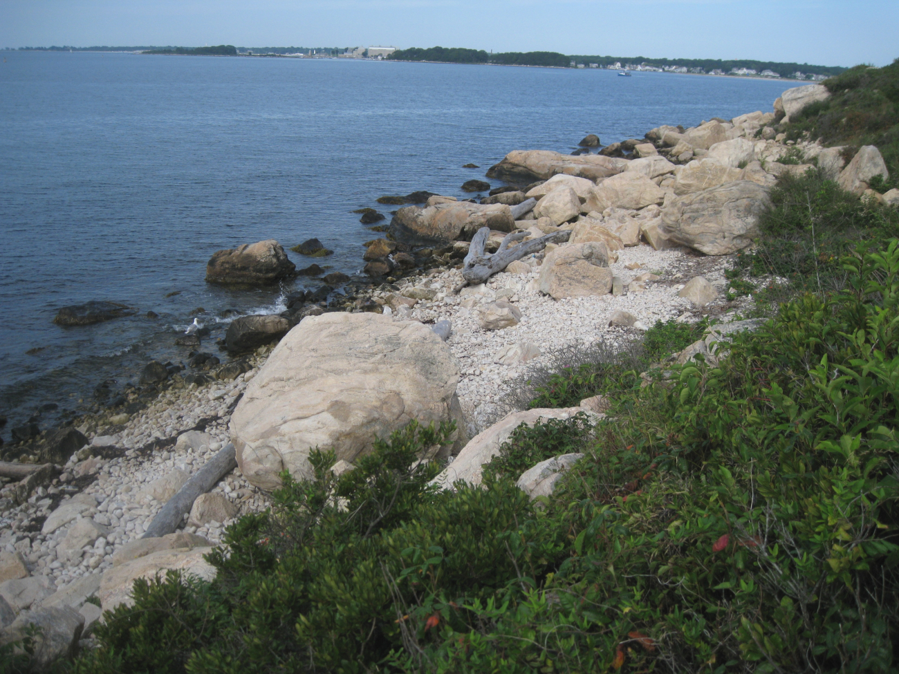 The rocky shoreline at Bluff Point State Park, the last one mile of naturalshoreline in Connecticut (Image credit: Captain Albert Theberge) The rocky shoreline at Bluff Point State Park, the last one mile of naturalshoreline in Connecticut