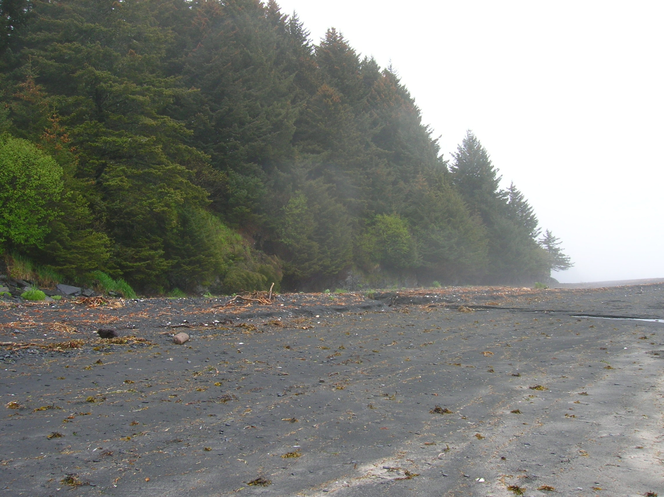 A black volcanic sand beach (Image credit: NOAA Teacher at Sea Program | Jason Moeller Knoxville Zoological Gardens TN) A black volcanic sand beach