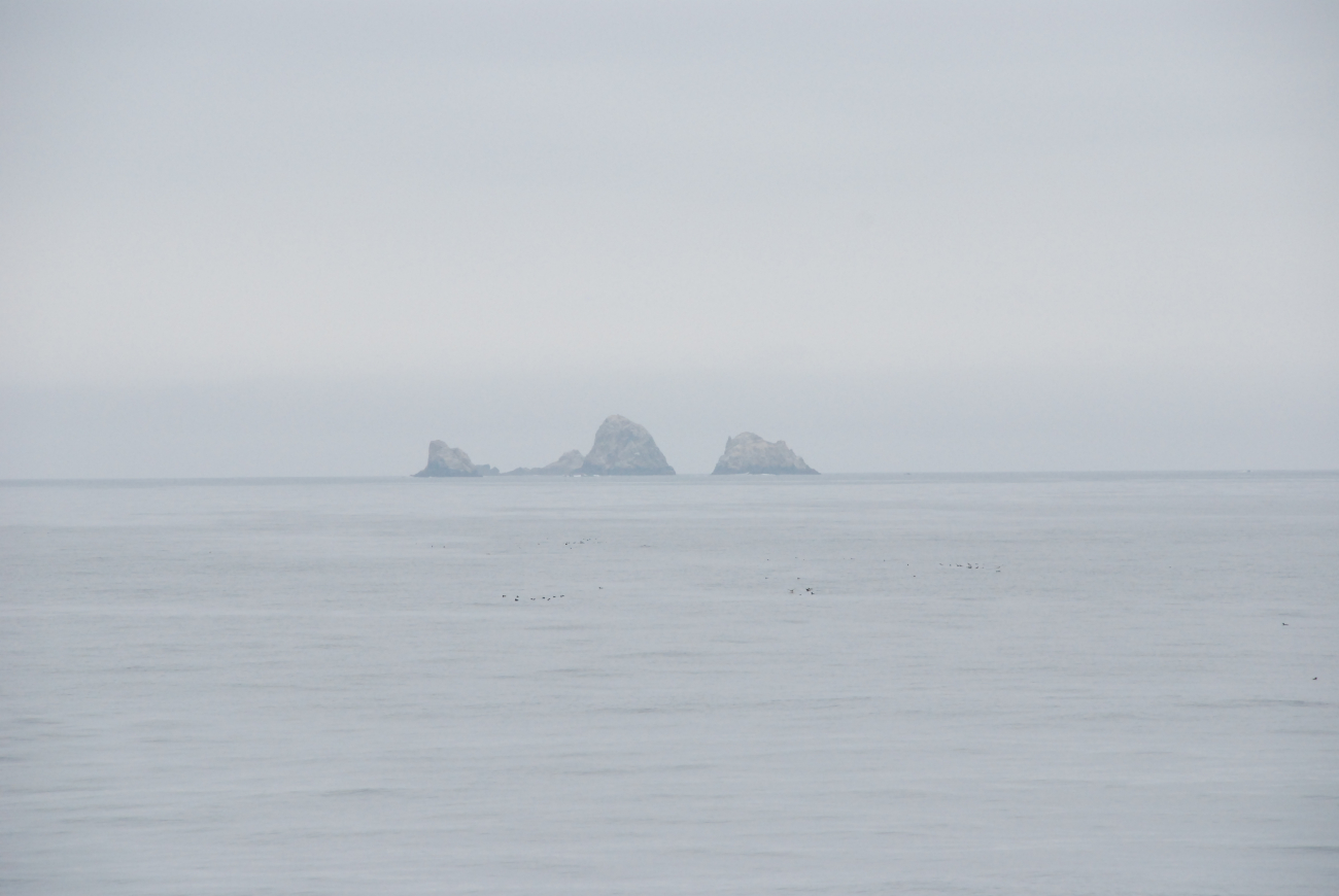 Northern Farallon Islands (Image credit: Crew and Officers of NOAA Ship MILLER FREEMAN) Northern Farallon Islands