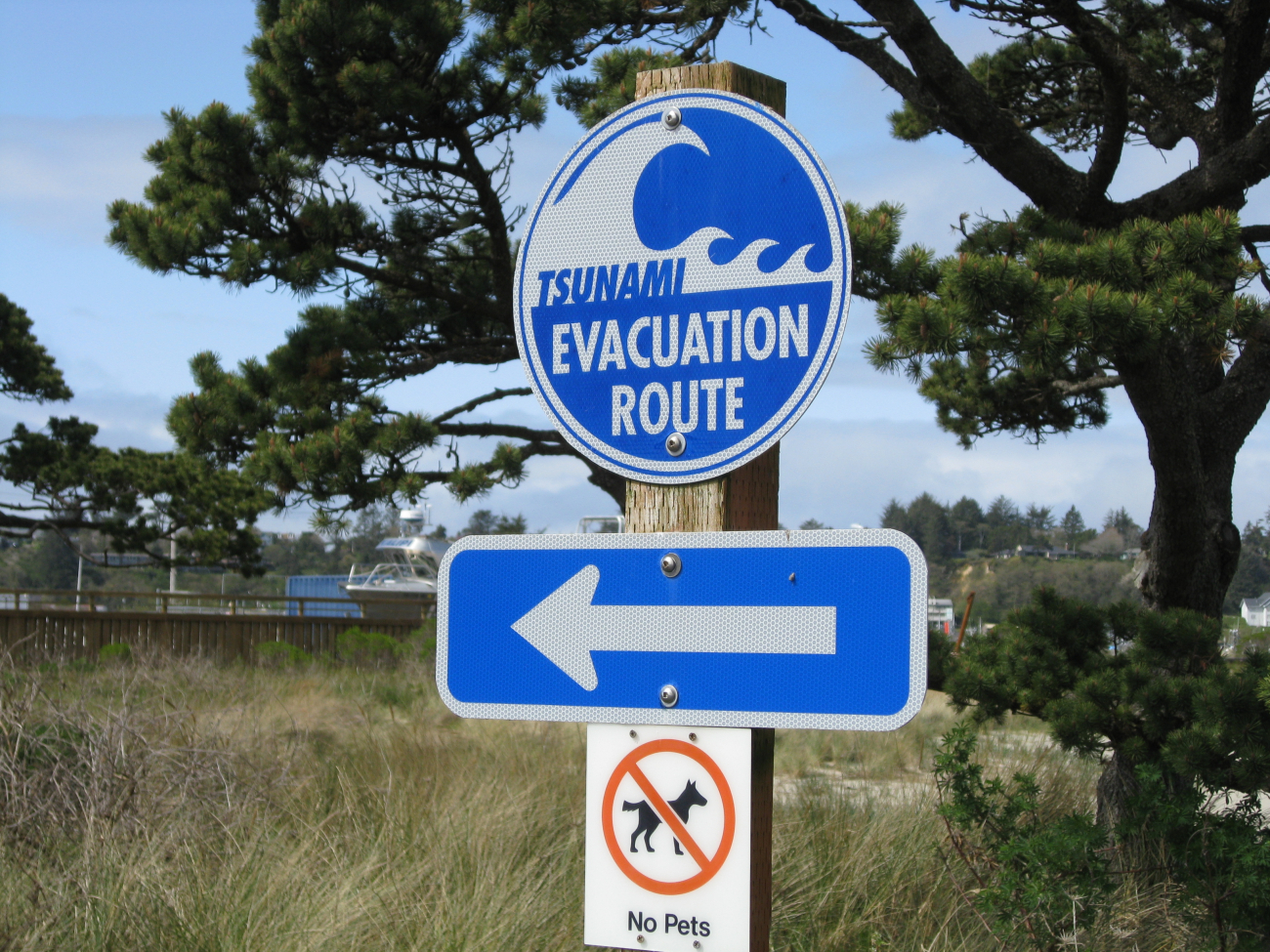 Newport tsunami evacuation route sign (Image credit: Crew and Officers of NOAA Ship MILLER FREEMAN) Newport tsunami evacuation route sign