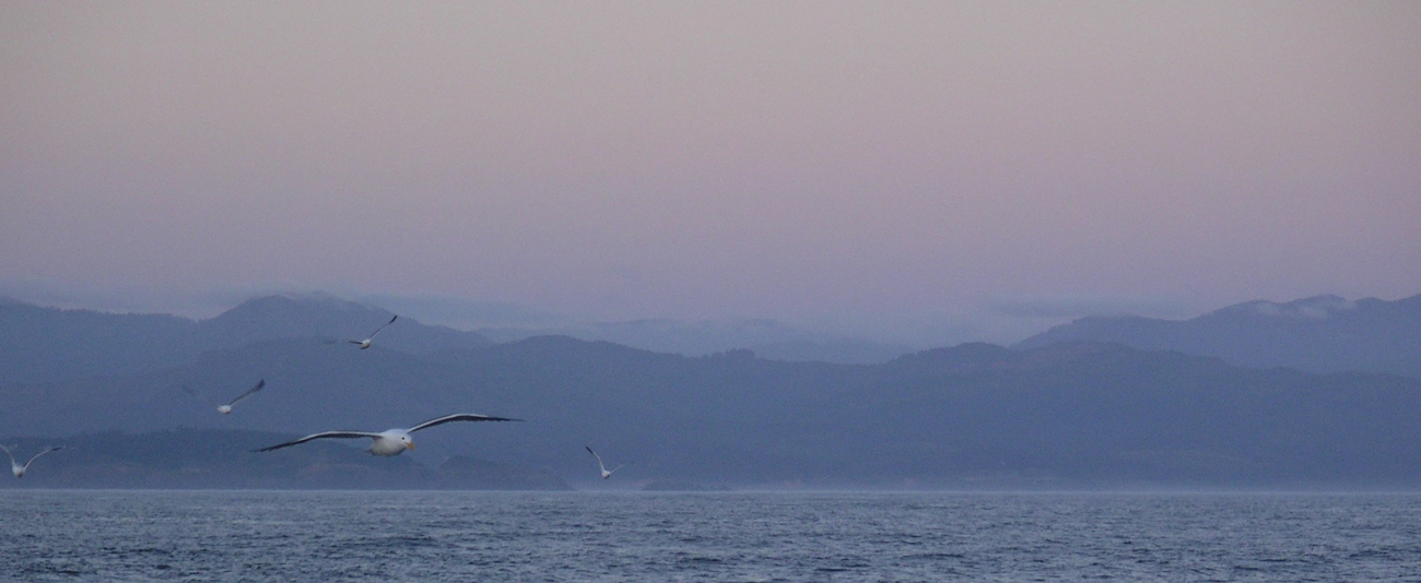 A scene along the Oregon or Washington coast (Image credit: Crew and Officers of NOAA Ship MILLER FREEMAN) A scene along the Oregon or Washington coast