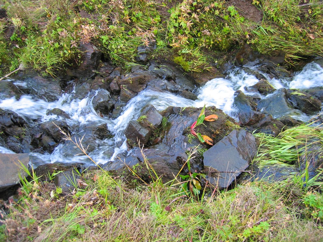 A small stream running down the slopes of St (Image credit: Crew and Officers of NOAA Ship MILLER FREEMAN) A small stream running down the slopes of St