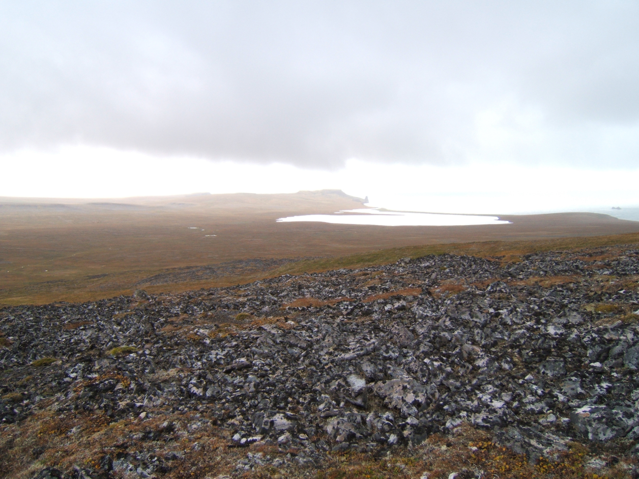 Frost heaved rock fragments on the high lands of St (Image credit: Crew and Officers of NOAA Ship MILLER FREEMAN) Frost heaved rock fragments on the high lands of St