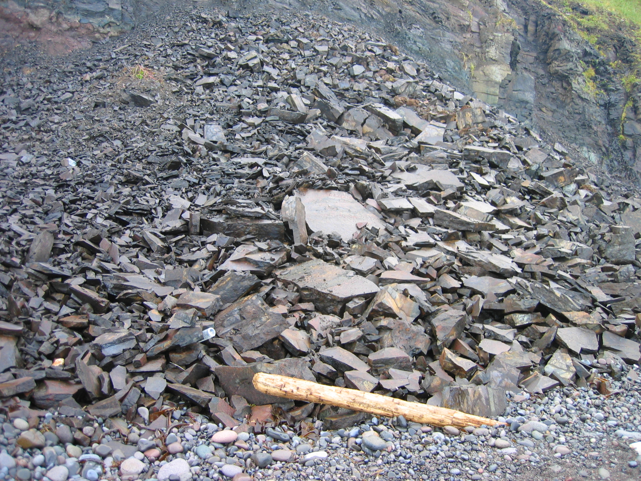 A scree slope of angular blocks of rock (Image credit: Crew and Officers of NOAA Ship MILLER FREEMAN) A scree slope of angular blocks of rock