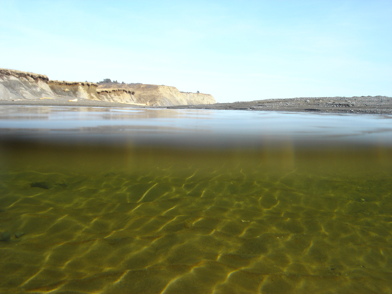 A rippled pond on Fossil Beach (Image credit: Crew and Officers of NOAA Ship MILLER FREEMAN) A rippled pond on Fossil Beach