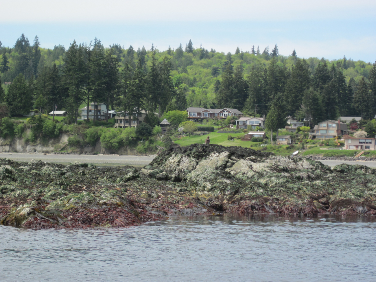 Houses seen along Admiralty Inlet at a low tide (Image credit: Crew and Officers of NOAA Ship FAIRWEATHER) Houses seen along Admiralty Inlet at a low tide