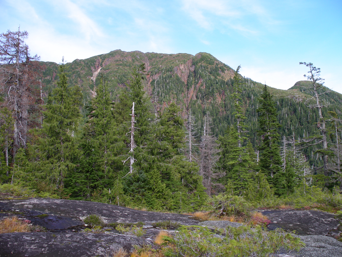 A scene along the John Mountain Trail in the Ketchikan area (Image credit: Crew and Officers of NOAA Ship FAIRWEATHER) A scene along the John Mountain Trail in the Ketchikan area